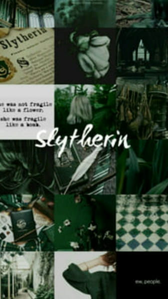 WHICH HARRY POTTER HOUSE BEST DESCRIBES YOUR VALUES visual data 2