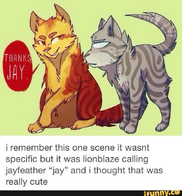 The Jayfeather Scene that EVERYONE Missed