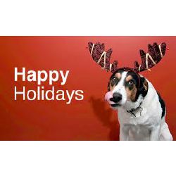 Ls-Crazy-Holiday-Dasha-Anya-Nu-De-Model-Hot-Sex-Pict Tests | Quotev