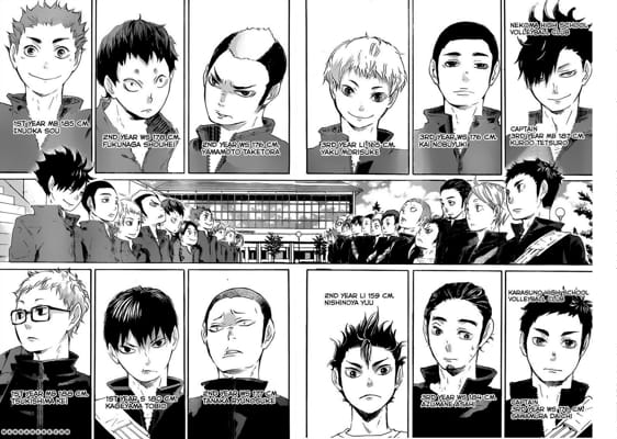 Pick a team to win Nationals : r/haikyuu