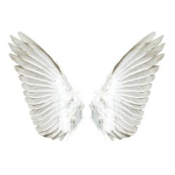 You're an angel or demon - Quiz | Quotev