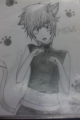 anime cat boy drawing
