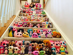Which Beanie Boo Are You? - Quiz | Quotev