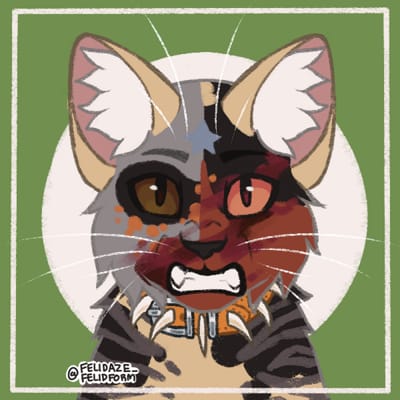 BITCH 【 Warrior cats Oc's meme 】 