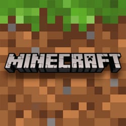 Find the Minecraft Block Quiz