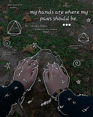 Questions to Therians - Survey | Quotev