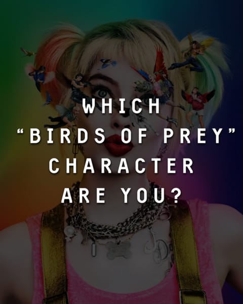 Which Birds Of Prey Character Are You?