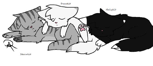 Warrior cats in a nutshell: Snowkit's demise part 2 : r/WarriorCats