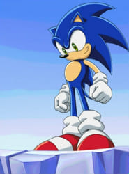 Hedgehogs Can't Swim: Sonic X, Episode 1.03: Missile Wrist Rampage