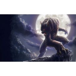 What kind of wearwolf are you? - Quiz | Quotev