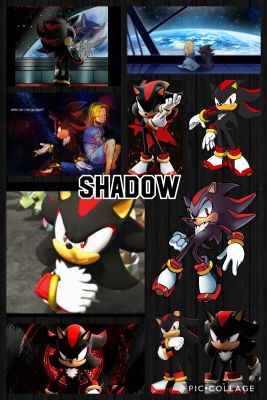 Fanart, Shadow the Hedgehog Protecc Squad!