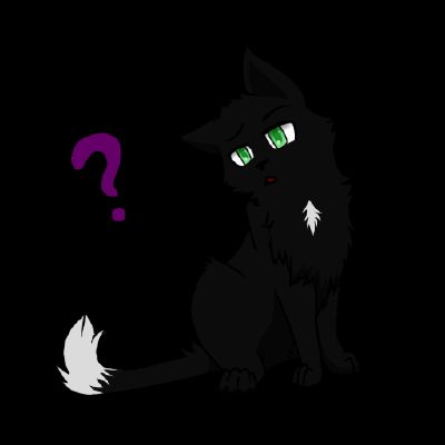 Which Warrior Cat Are You Quiz Quotev