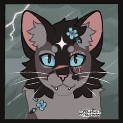 What Warrior Cat Are You? Quiz - ProProfs Quiz