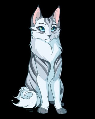 Who is This? (Warrior Cats Arc 2 Edition) - Test | Quotev