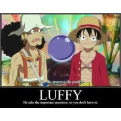 Write a letter to Monkey D. Luffy - Quiz | Quotev