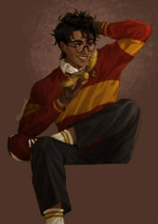 Write a letter to James Potter - Quiz | Quotev