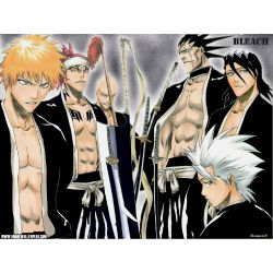 What Captain Is Your Bf/Gf (Bleach)? - ProProfs Quiz