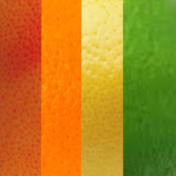 What Citrus Fruit are you?(NSFW) Quiz Quotev