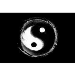 Are you Yin or Yang? - Quiz | Quotev