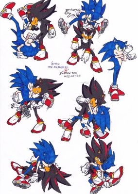 Sonadow/Sonic x Shadow, Shipping Book (No More Authors!)