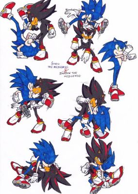 Sonic x Shadow, Ship book