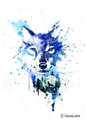 wolf math alpha wolf math alpha