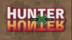 Hunter x Hunter Quiz: Will You Get A Perfect Score? - Quizondo