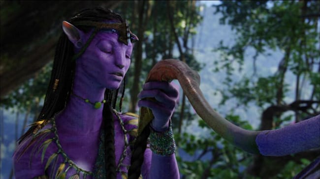 6. The decision of the leaders | The na'vi with Emerald eyes | Jake ...