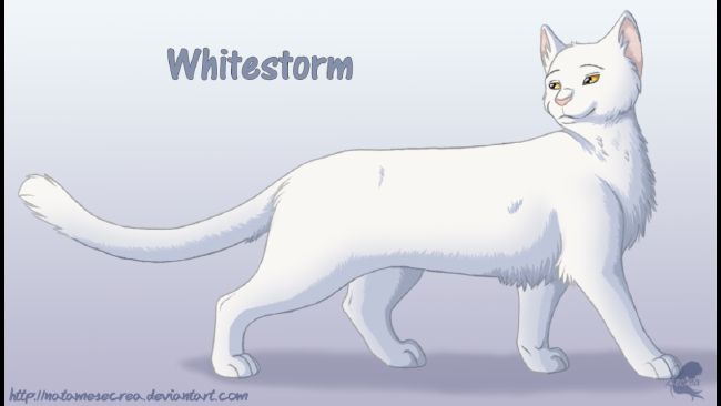 The Broken Code - Main Characters on Warrior-Cats-EH - DeviantArt