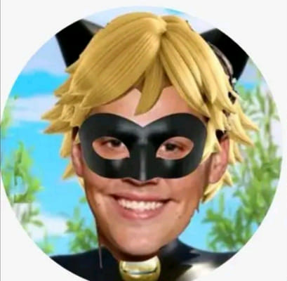 Guess the miraculous ladybug character based on a bad description of ...