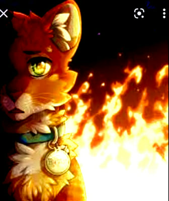 Into the Wild Warriors fan art of Rusty (Firestar)! This took a lot of time  and patience but I'm really happy with the results! Swipe right…
