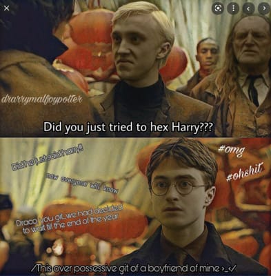 Harry Potter Memes!!! (Main ship: Drarry) - Harry and Draco's love