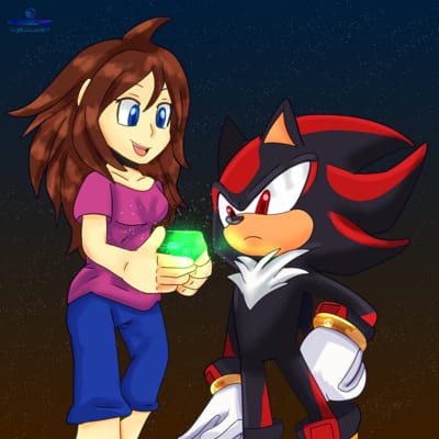 Shadow the Hedgehog in a Sonic X pose