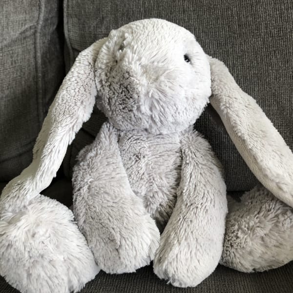 Grey Rabbit | Quotev