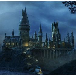 Your Harry Potter Life Extremely Long Results Quiz Quotev