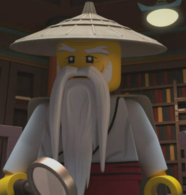 Guess My Favorite Ninjago Characters Test