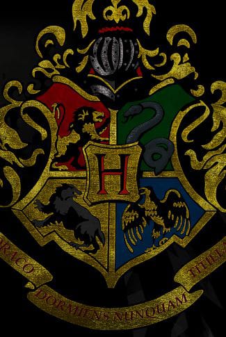 A Slightly Different Hogwarts Sorting Quiz - Quiz | Quotev