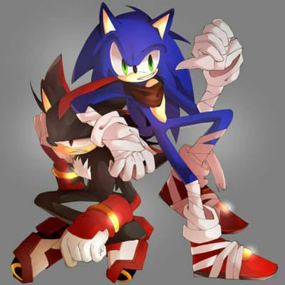 Closer (But maybe a little too much) -- Sonadow/Shadonic - Chapter