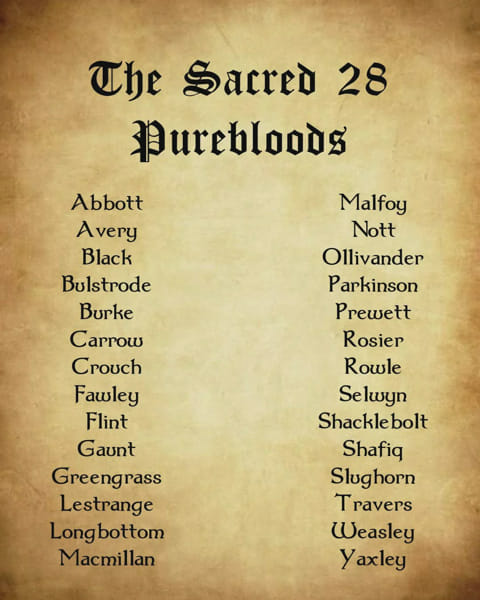 What Pureblood Family Are You From? - A Harry Potter Quiz - Quiz 