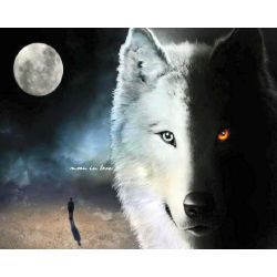 wolf of light