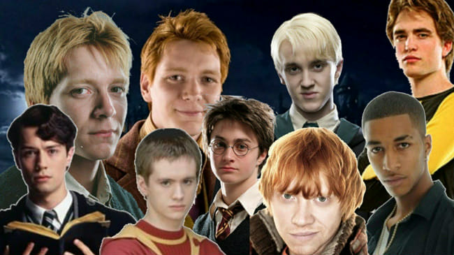 Which Harry Potter boy secretly likes you? - Quiz | Quotev