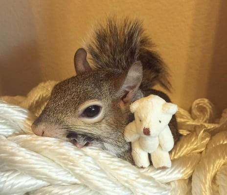 What BLACKPINK member are you!! - Quiz | Quotev