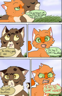 Did you see HawkFrost at the gathering?- | Warrior cat memes