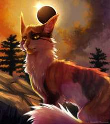 Kiss, Marry, Kill Warrior Cats Edition - Quiz 