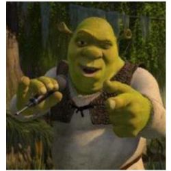 Shrek Wot meme | Sticker