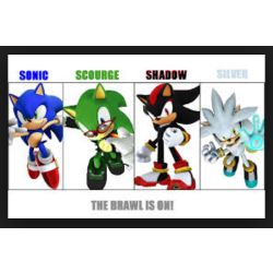 Are You Sonic, Shadow Or Silver The Hedgehog? - ProProfs Quiz