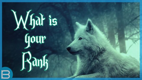 What Wolf Rank Are You? - Quiz 