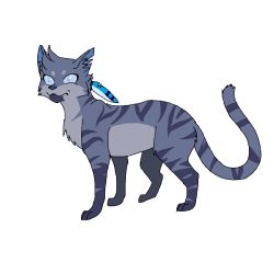 Do you know Jayfeather? - Test | Quotev