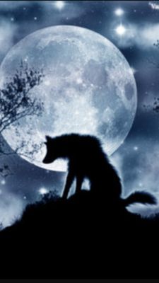 Native lone wolf | Anime animals, Wolf, Cartoon wolf