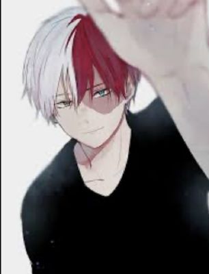 24 hours with Todoroki (your a villain) - Quiz | Quotev